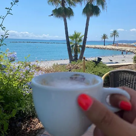 New Flat With Swimming Pool On Rooftop