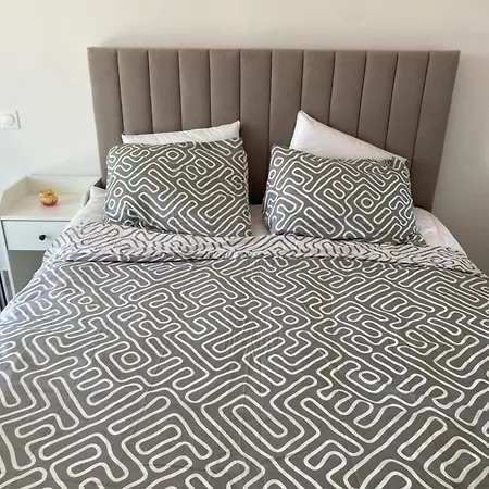 New Flat With Swimming Pool On Rooftop Daire