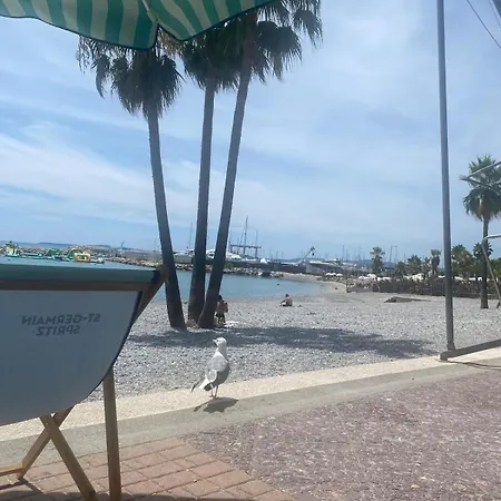 New Flat With Swimming Pool On Rooftop *